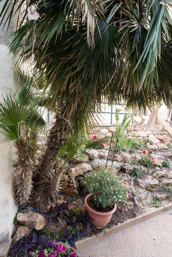 Eshkol Housing Haifa - Luxury Villa Panoramic Sea View מראה חיצוני תמונה